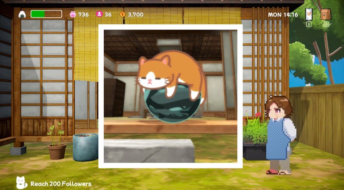 A photograph of a cat on a large ball in Neko Odyssey.