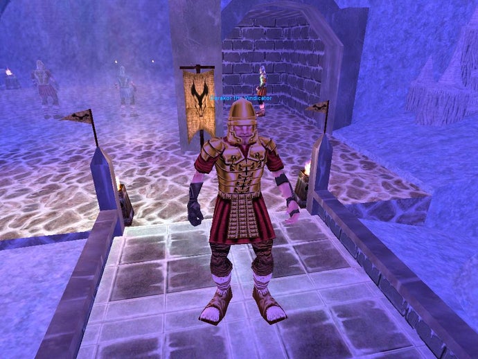 A hero explores a strange realm in EverQuest.