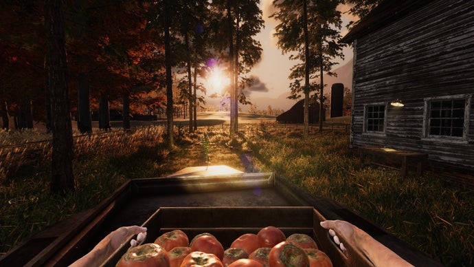 A screenshot from We Harvest Shadows showing a character holding a crate of tomatoes - they have just grown and picked - in first-person. Around them, the sun is setting through some trees.