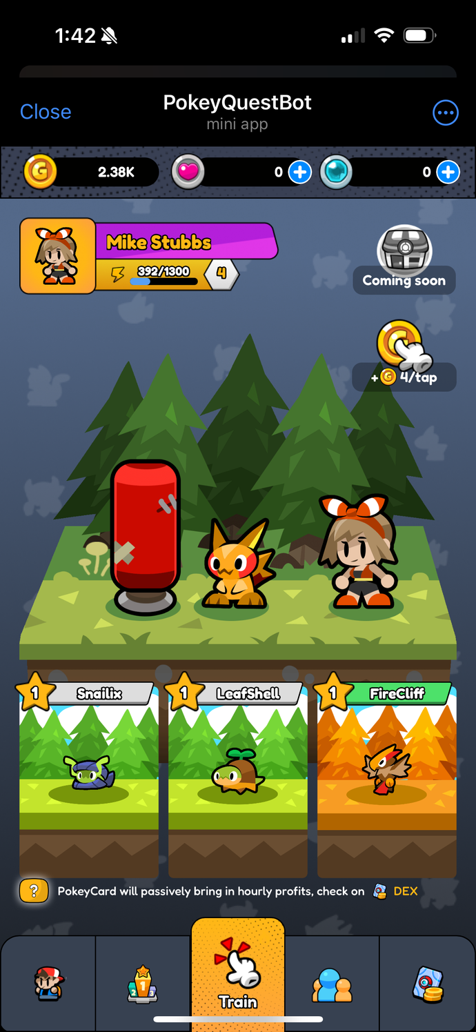 A screenshot from Pokey Quest, in which a trainer and a Pikachu-like creature stand next to a punching bag.