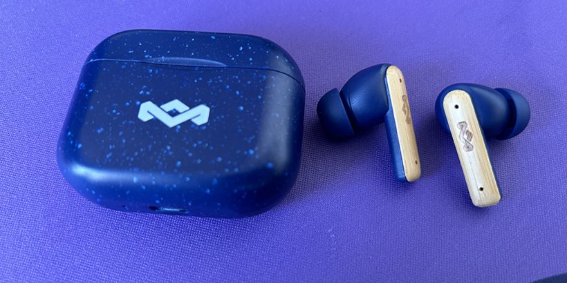 Little Birds Earbud and case