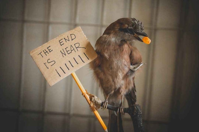 A bird holds a sign in its feet that says "The End is near!" at a Disco Elysium LARP.